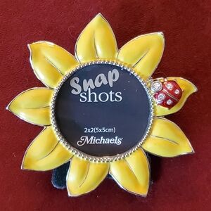 Fancy Picture Frame‎